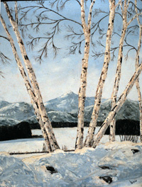 white birches